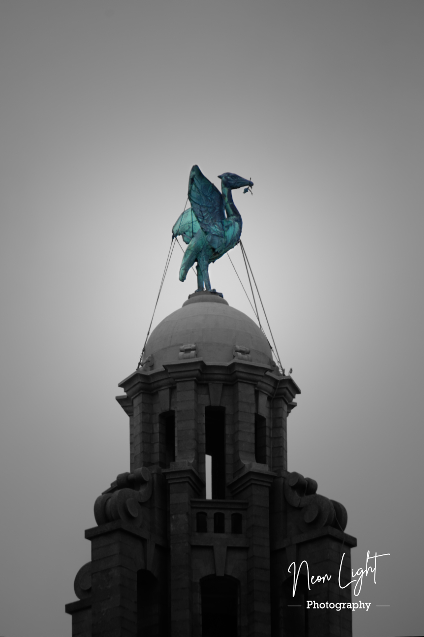 The Liverbird Stands Proud
