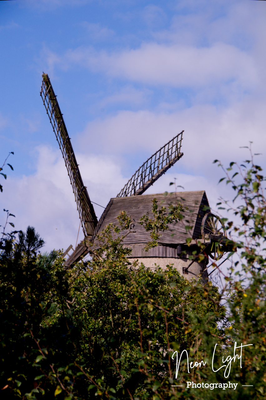 Bidston Windmill Through the Leaves