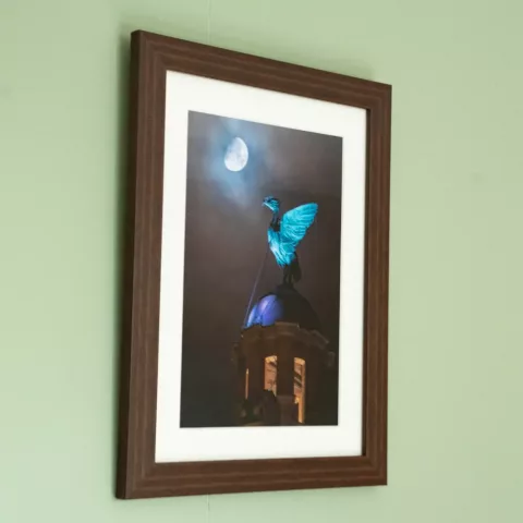 "Lunar Liverbird" Framed Print