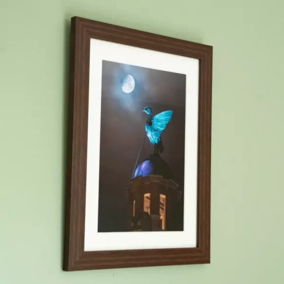 "Lunar Liverbird" Framed Print