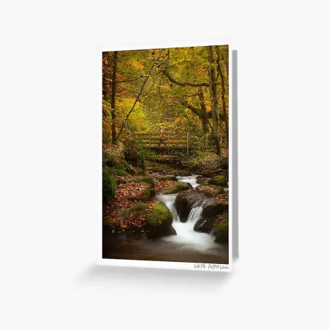 "Water Falls" at Nant Mill Greetings Card